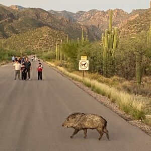 Meet your Posher, Gretchen